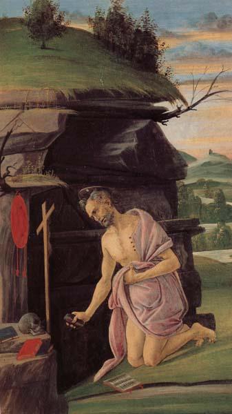 Alessandro Botticelli St.Jerome France oil painting art